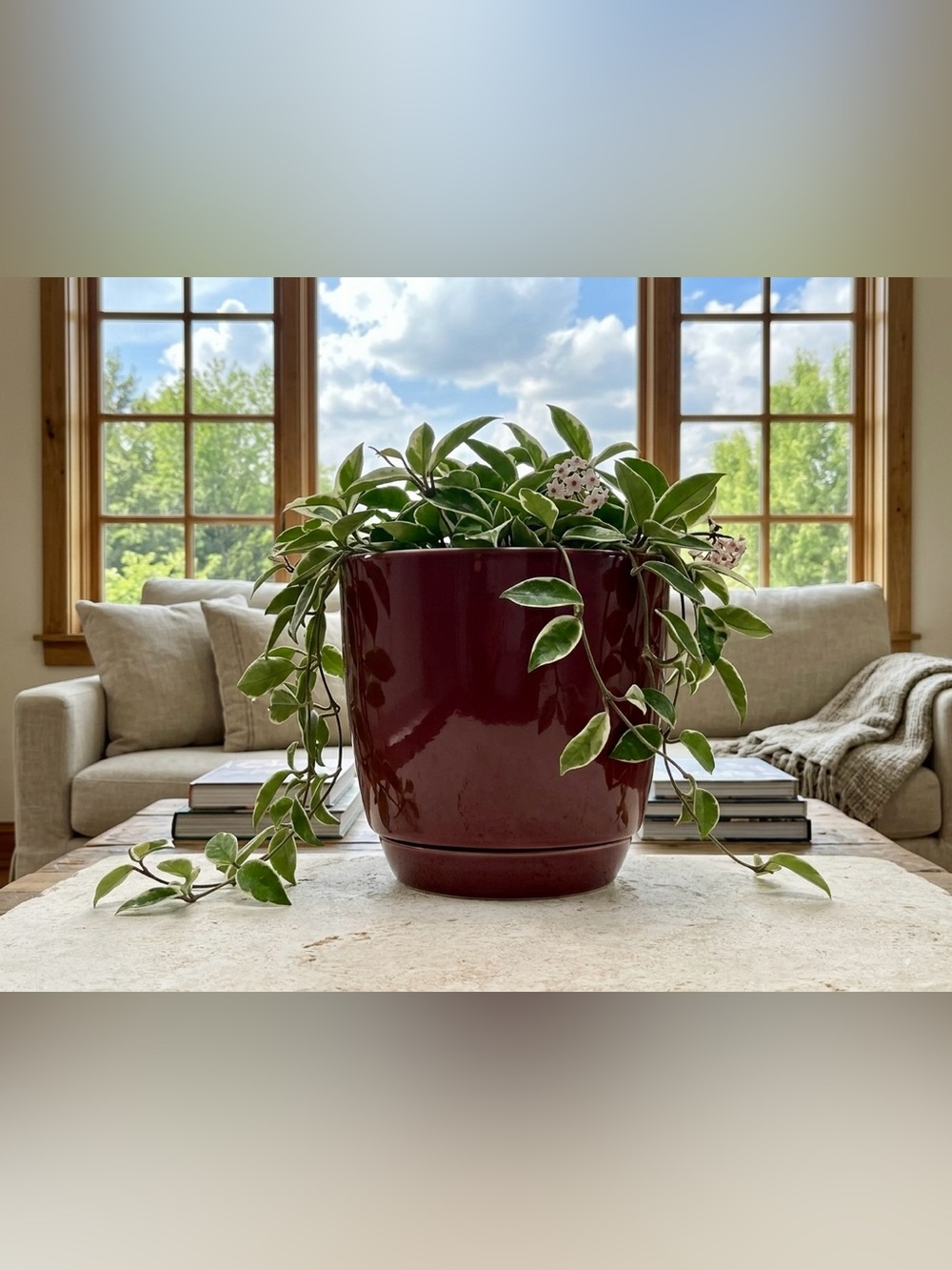 6 Inch Ceramic Planter with Drainage and Attached Saucer, Glossy Maroon